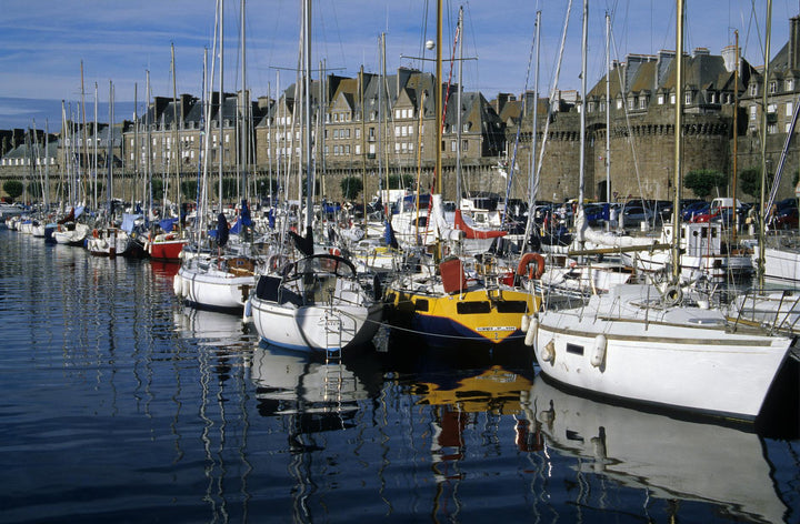 docked sailboats in a harbor