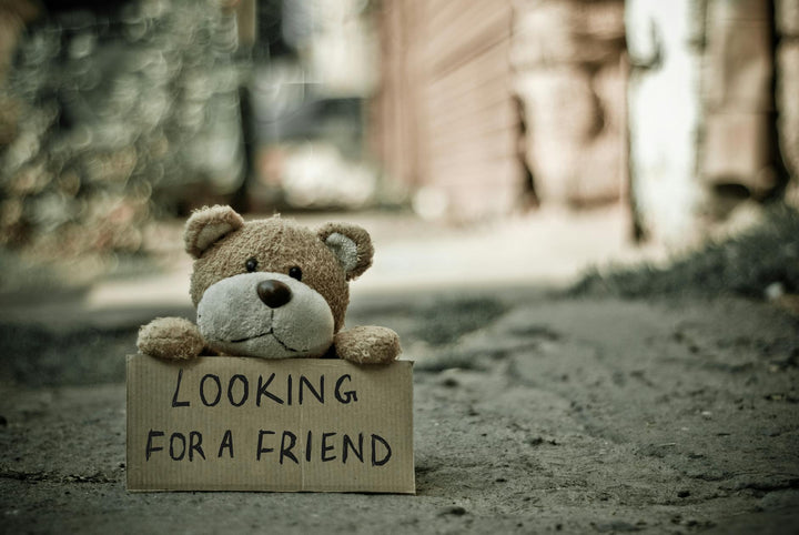 looking for a friend bear|looking for a friend bear