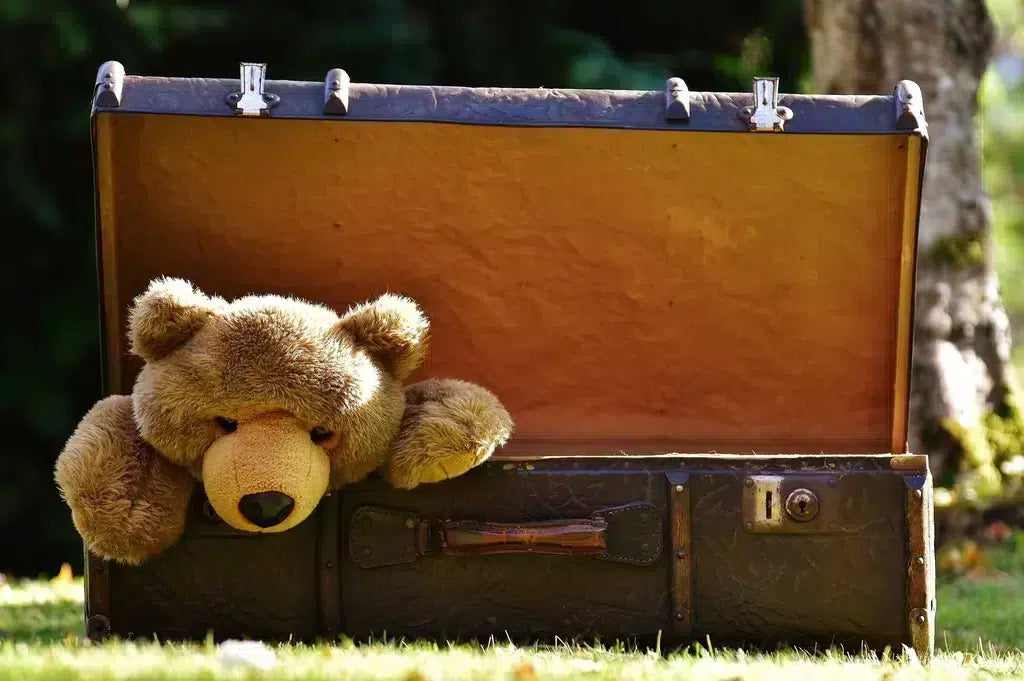 Free teddy bear doll suitcase|brown teddy bear on brown wooden bench outside