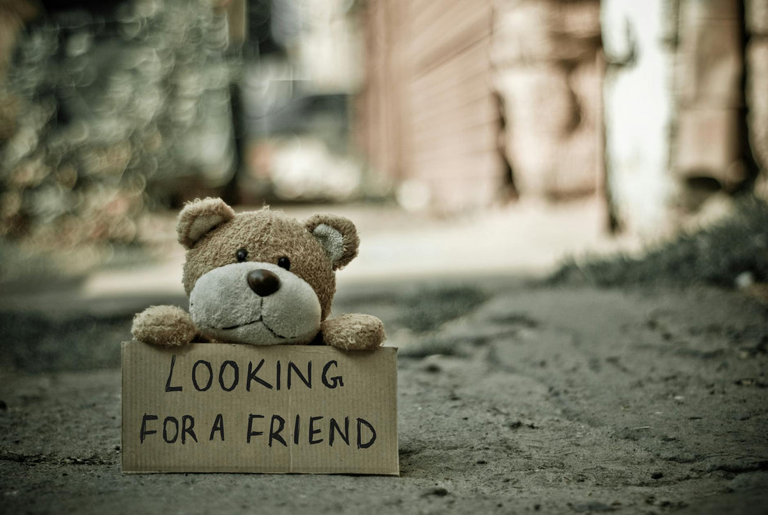 looking for a friend bear|looking for a friend bear