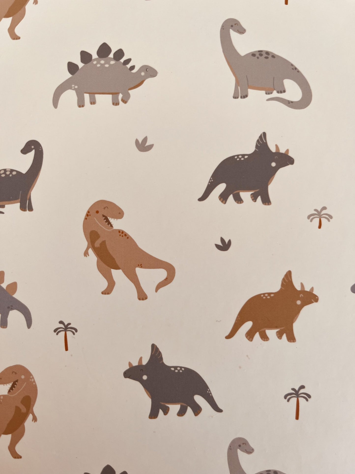 Coffret bébé dinosaure