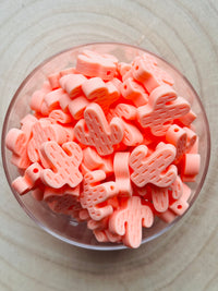 Perle silicone cactus